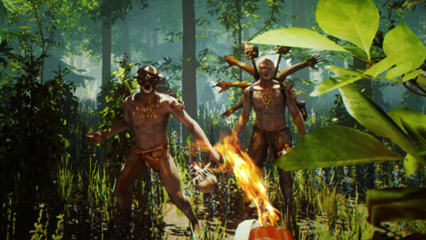 The Forest (PC) - Steam Account - GLOBAL - imagine 2