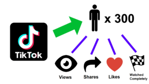 TikTok 100,000 Views