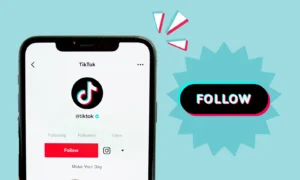 TikTok Followers 10.000 Followers